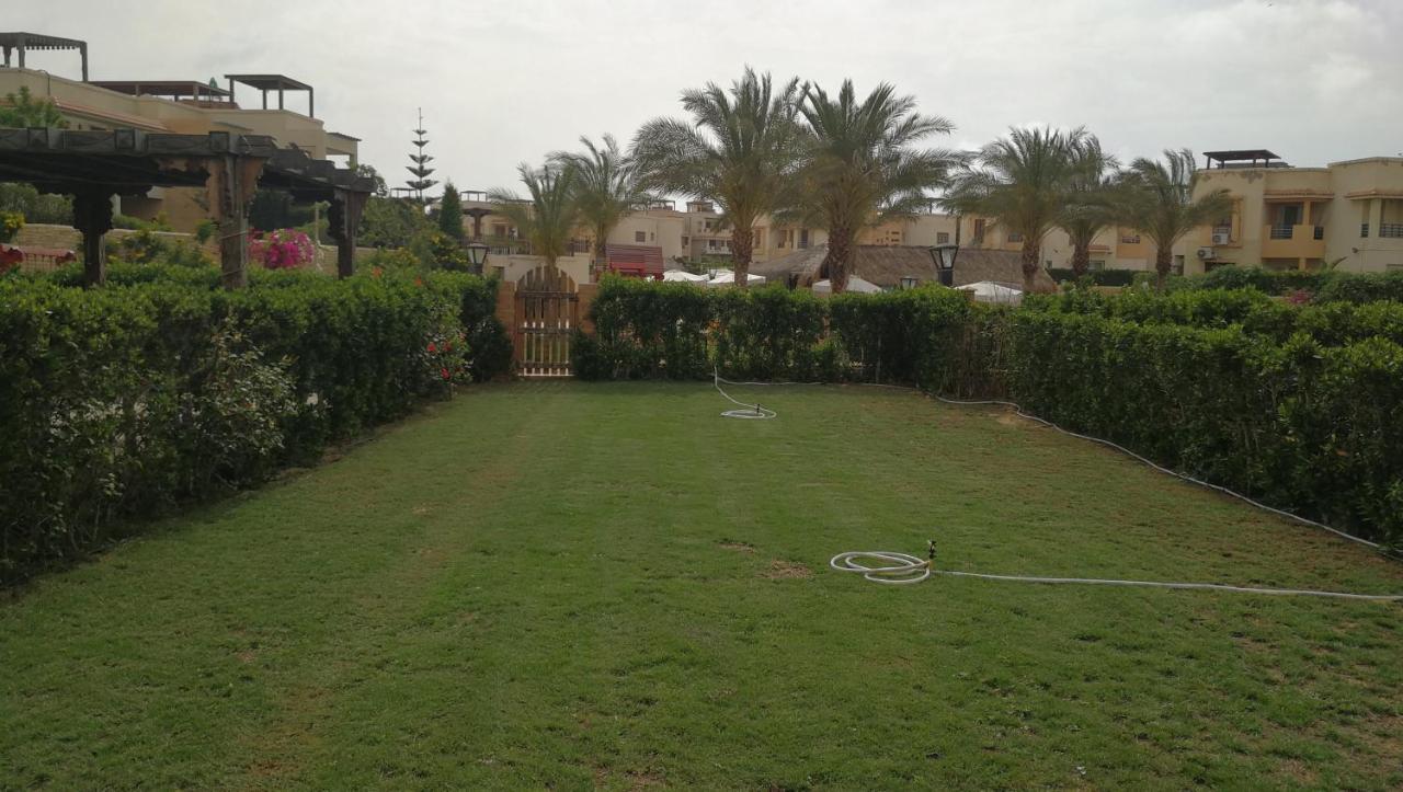 ارضى بحديقه بقريه ديمورا بالساحل الشمالي كيلو ٧٥ * Dawwar Abu Duray'ah 'Abd al Karim